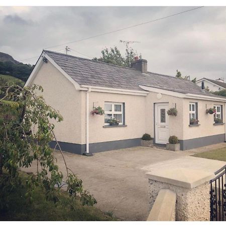 Tamlaght Cottage 利马瓦迪 外观 照片